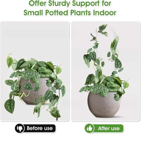 H84c9ab3b3aec498cac10e24756130ebem.jpg_720x720q50.jpg Clear Acrylic Plant Support Trellis