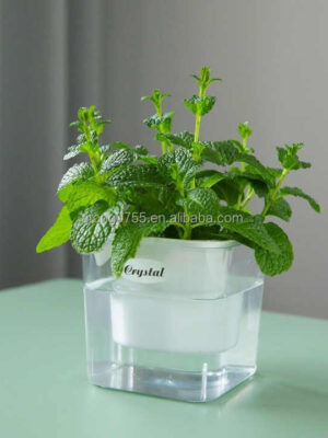 Transparent Self-Watering Resin Planter
