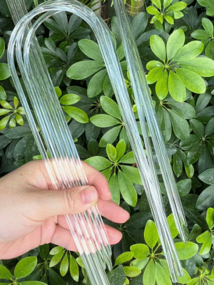 Clear Acrylic Plant Support Trellis