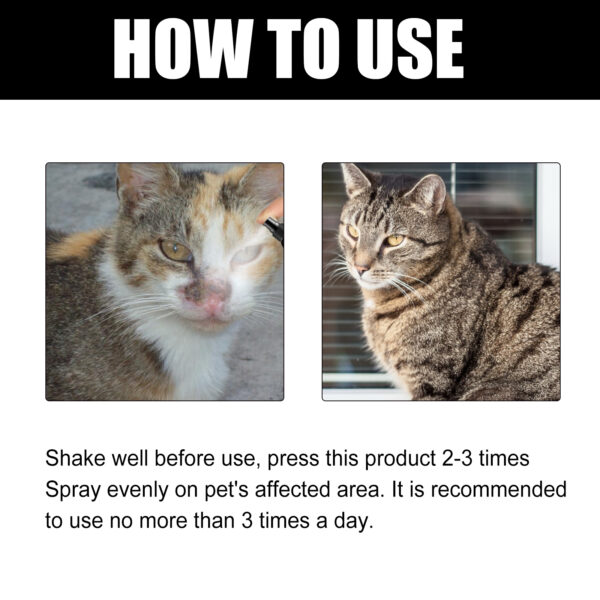 546378723 Cat Ringworm Spray, Pet Cats Anti-Mite Cat Moss Care Skin External Use Anti-Itch Spray