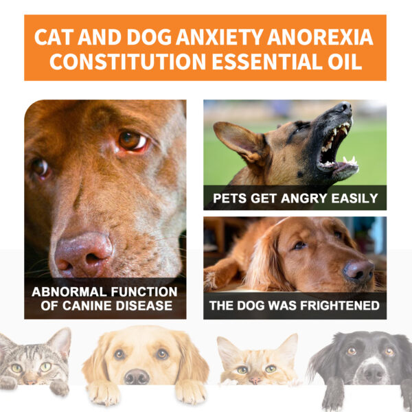 546378699 Cat And Dog Care Essence, Pet Cat And Dog Enhance Health Eat Care Sesame Seed Oil Essence