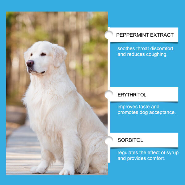 546378896 Dog Syrup, Pet Dogs Absorb Nutrition Care Health Special Maintenance Supplement Syrup