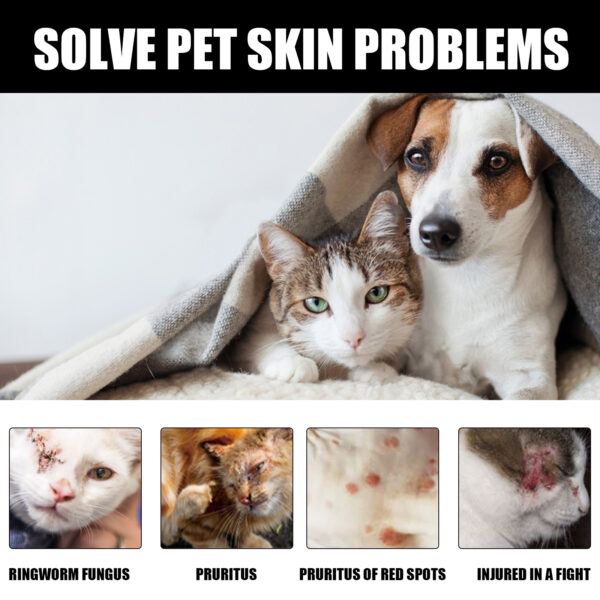546378720 Cat Ringworm Spray, Pet Cats Anti-Mite Cat Moss Care Skin External Use Anti-Itch Spray