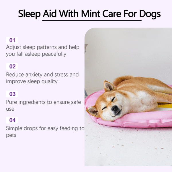 546379012 Dog Sleep Drops Pamper Dogs Sleeping At Night Pet Sleep Care Drops Supplement