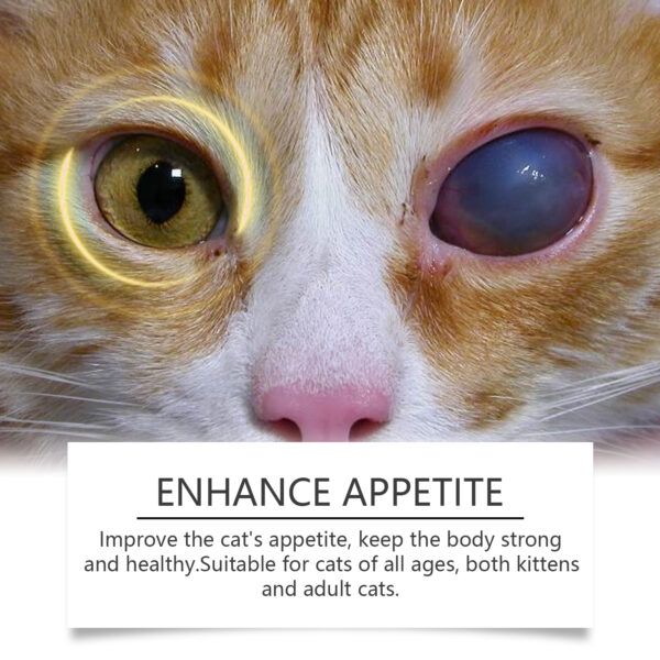 546379881 Compound Taurine Tablets For Cats Nutritional Supplement Multi-Dimensional Taurine Tablets For Cats