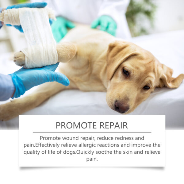 546378938 Dog Care Spray, Clean Dog Care Pet Plant Essence Skin Care Spray