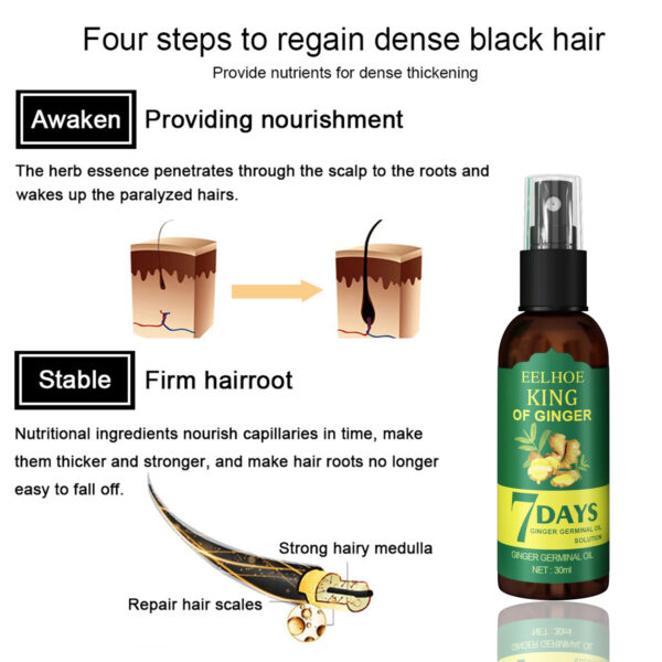 546519693 EEL Ginger Hair Spray, Strengthens Hair, Massages Scalp And Restores Hair