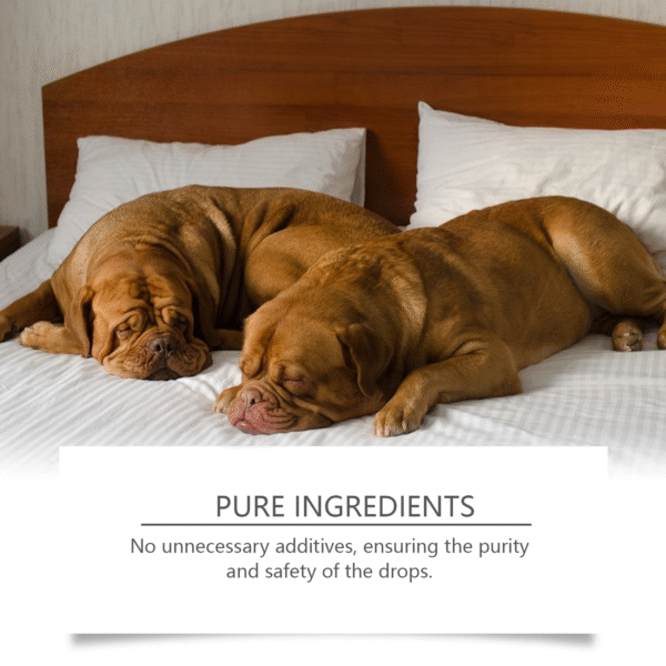546379013 Dog Sleep Drops Pamper Dogs Sleeping At Night Pet Sleep Care Drops Supplement